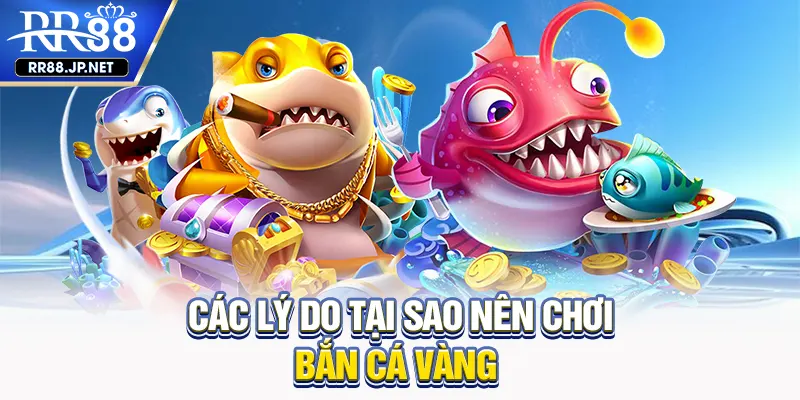Các lý do tại sao nên chơi bắn cá vàng Các lý do tại sao nên chơi bắn cá vàng