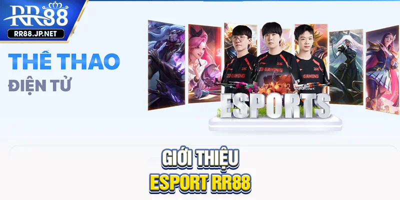Giới thiệu esport RR88