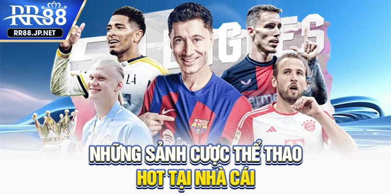 Những sảnh cược thể thao hot tại nhà cái